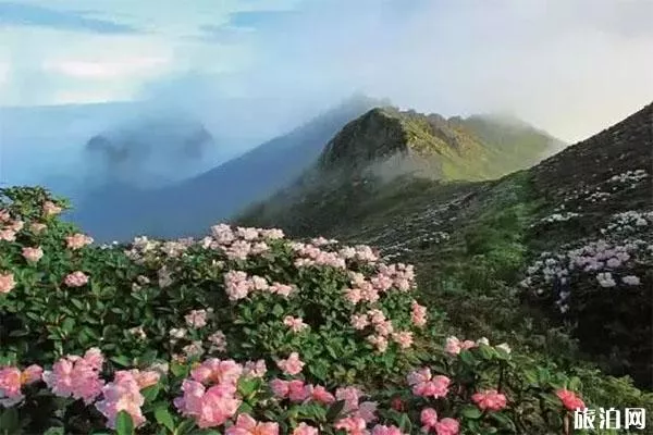 大理蒼山景區(qū)游玩攻略 附交通 大理蒼山景區(qū)游玩攻略 附交通