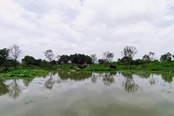 杭州良渚古城遺址公園開放時間-交通指南 杭州良渚古城遺址公園開放時間-交通指南