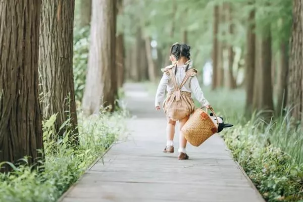 東湖落雁島游玩攻略 交通、門票、怎么玩等信息都在這了