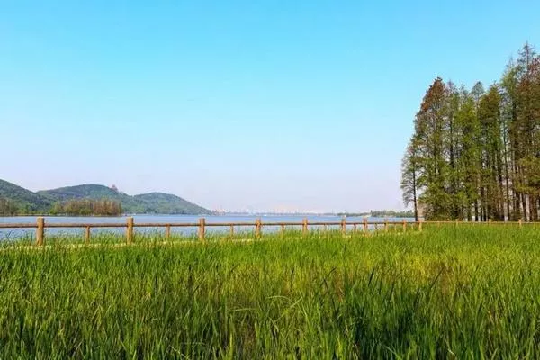 東湖落雁島游玩攻略 交通、門票、怎么玩等信息都在這了