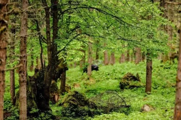 神木壘一日游攻略 神木壘一日游攻略