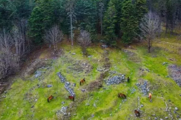 神木壘一日游攻略 神木壘一日游攻略