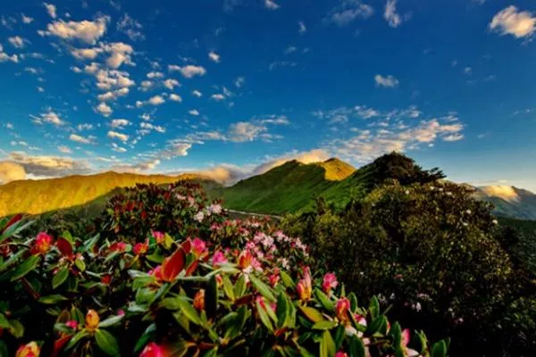 神木壘在哪里?怎么去? 神木壘在哪里?怎么去?